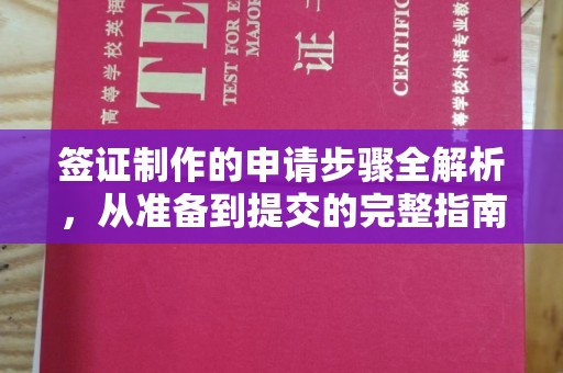 叠彩签证制作的申请步骤全解析，从准备到提交的完整指南