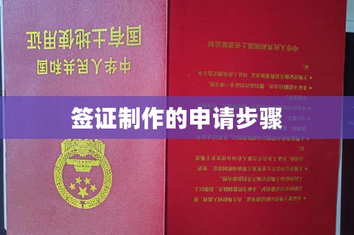 叠彩签证制作的申请步骤