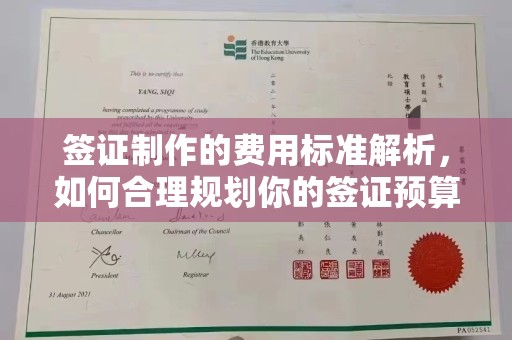 叠彩签证制作的费用标准解析，如何合理规划你的签证预算