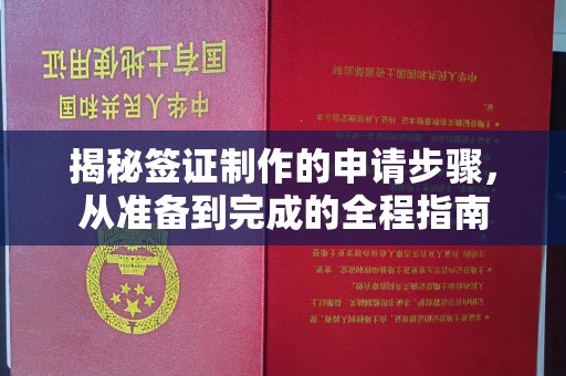 叠彩揭秘签证制作的申请步骤，从准备到完成的全程指南